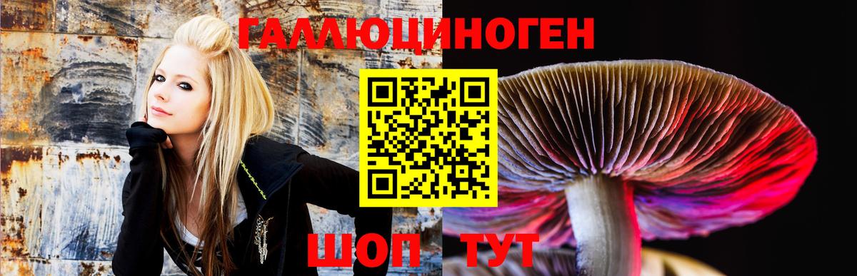 Псилоцибиновые грибы мицелий  Вход с VPN  Галлюциногенные грибы Magic Shrooms  Баксан 